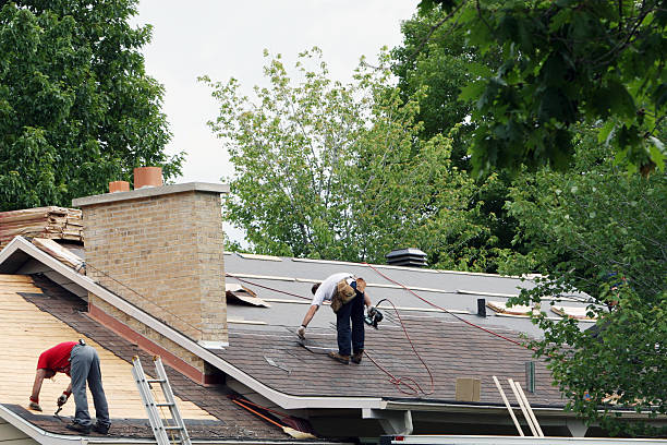 Best Metal Roofing Contractor  in Petaluma, CA