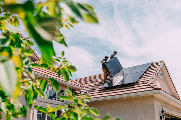 Best Flat Roof Repair Services  in Petaluma, CA