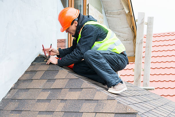 Best Roof Maintenance Services  in Petaluma, CA